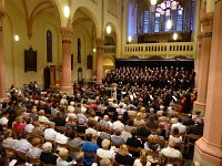 Geiger 16.7.2016 481